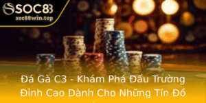 A Ga C3 Kham Pha Au Truong Inh Cao Danh Cho Nhung Tin O Ga Choi