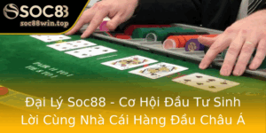Ai Ly Soc88 Co Hoi Au Tu Sinh Loi Cung Nha Cai Hang Au Chau A
