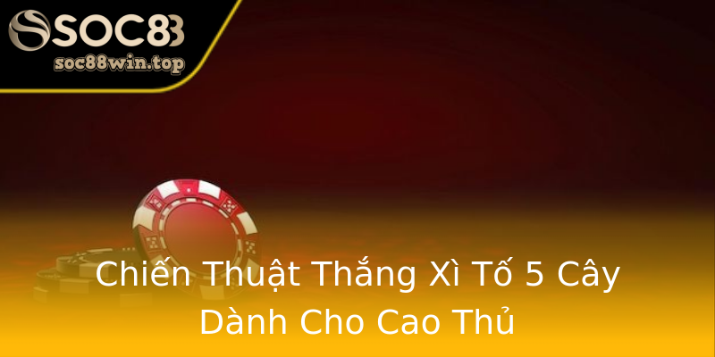 Chiến Thuật Thắng Xì Tố 5 Cây Dành Cho Cao Thủ Chiến Thuật Thắng Xì Tố 5 Cây Dành Cho Cao Thủ
