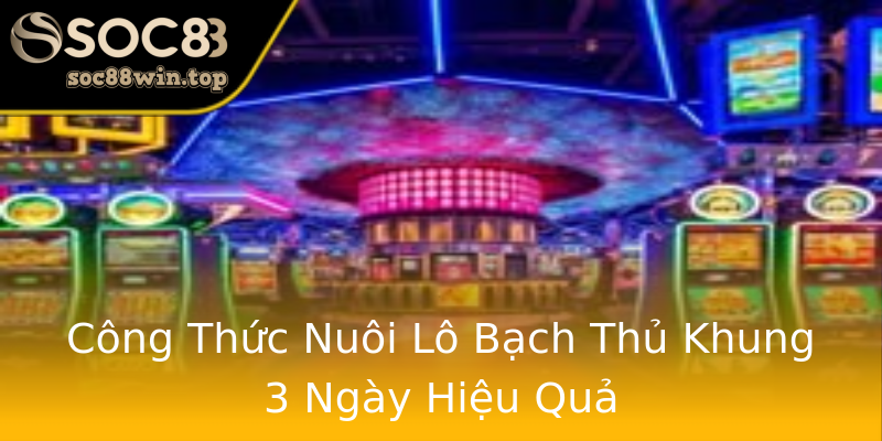 Công Thức Nuôi Lô Bạch Thủ Khung 3 Ngày Hiệu Quả Công Thức Nuôi Lô Bạch Thủ Khung 3 Ngày Hiệu Quả