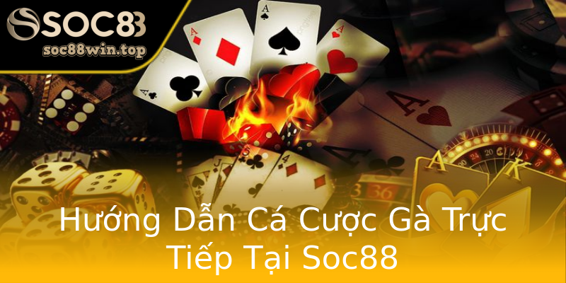 Hướng Dẫn Cá Cược Gà Trực Tiếp Tại Soc88 Hướng Dẫn Cá Cược Gà Trực Tiếp Tại Soc88