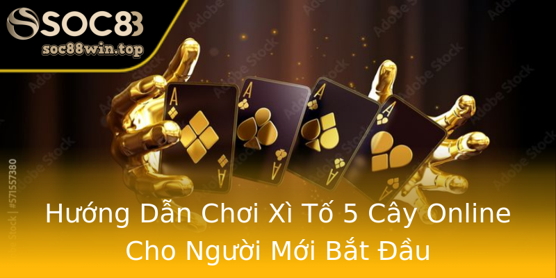 Hướng Dẫn Chơi Xì Tố 5 Cây Online Cho Người Mới Bắt Đầu Hướng Dẫn Chơi Xì Tố 5 Cây Online Cho Người Mới Bắt Đầu