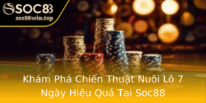 Kham Pha Chien Thuat Nuoi Lo 7 Ngay Hieu Qua Tai Soc88