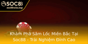 Kham Pha Sam Loc Mien Bac Tai Soc88 Trai Nghiem Inh Cao
