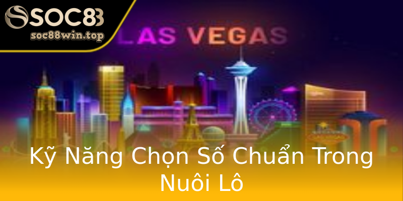 Kỹ Năng Chọn Số Chuẩn Trong Nuôi Lô Kỹ Năng Chọn Số Chuẩn Trong Nuôi Lô