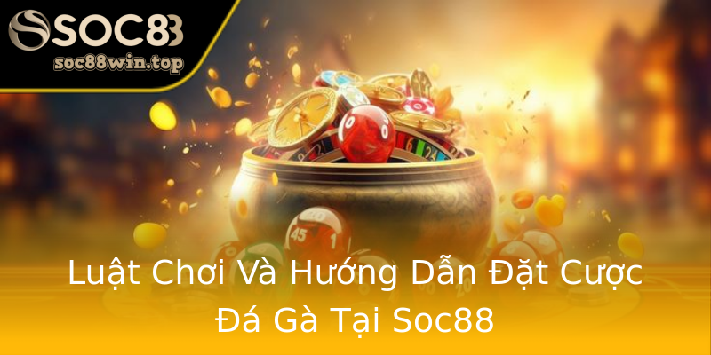 Luật Chơi Và Hướng Dẫn Đặt Cược Đá Gà Tại Soc88 Luật Chơi Và Hướng Dẫn Đặt Cược Đá Gà Tại Soc88