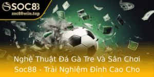 Nghe Thuat A Ga Tre Va San Choi Soc88 Trai Nghiem Inh Cao Cho Nguoi Am Me