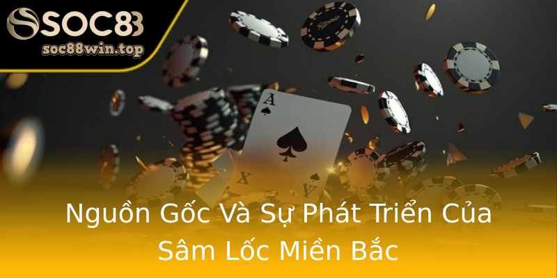 Nguồn Gốc Và Sự Phát Triển Của Sâm Lốc Miền Bắc Nguồn Gốc Và Sự Phát Triển Của Sâm Lốc Miền Bắc