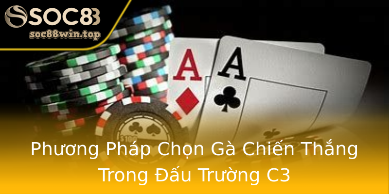 Phương Pháp Chọn Gà Chiến Thắng Trong Đấu Trường C3 Phương Pháp Chọn Gà Chiến Thắng Trong Đấu Trường C3