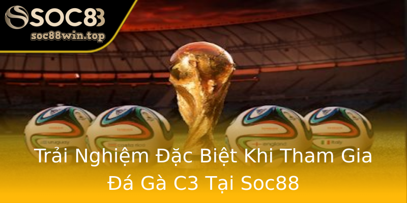 Trải Nghiệm Đặc Biệt Khi Tham Gia Đá Gà C3 Tại Soc88 Trải Nghiệm Đặc Biệt Khi Tham Gia Đá Gà C3 Tại Soc88